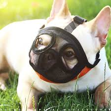 French Bulldog Muzzle