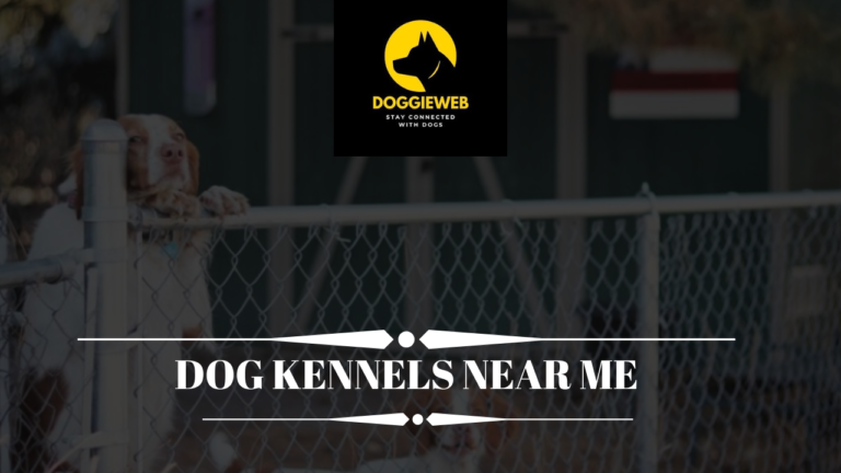 Dog Kennels Near Me