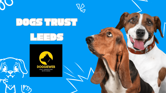 Dogs Trust Leeds