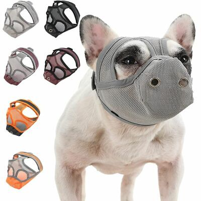 French Bulldog Muzzle